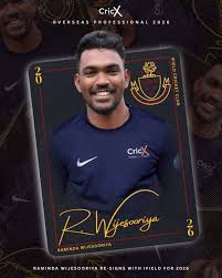 Image result for Ifield Cricket Club