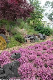 Attēlu rezultāti vaicājumam “Erica x darleyensis flower”
