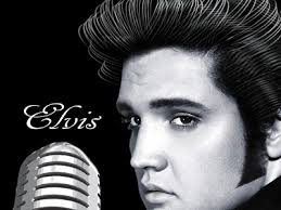 images?q=tbn:ANd9GcRi-oSPDp7bjwPPi-1uWQtU22aADzmKfztVe6HRlrACh2qGJtus6Z-1CYGwyg