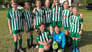 Image result for Haslemere Town Youth Football Club