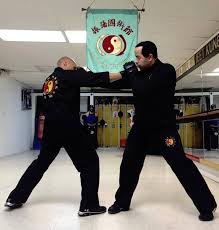 Image result for Somerset Jeet Kune Do