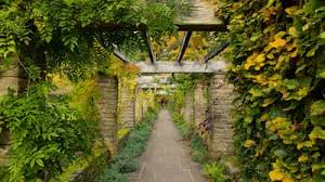 Image result for Wythall Cc