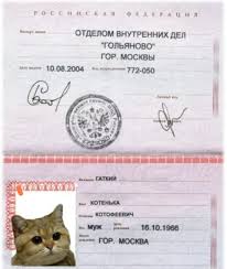 Image result for скан паспорта