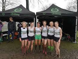 Image result for Wirral Athletics Club