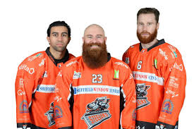 Image result for Sheffield Steelers