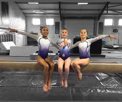 Image result for Horsham Gymnastics Club