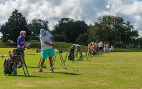 Image result for Palewell Pitch & Putt Golf Club