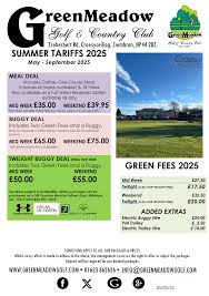 Image result for Greenmeadow Badminton Club