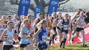 Image result for Ipswich Harriers