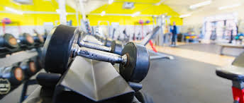 Image result for Arrow Vale Gym Club