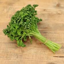 Image result for Petersilie