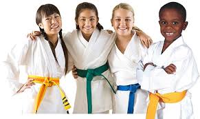Image result for Red Dragon Taekwondo club