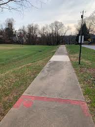 Image result for Ashville College Disc Golf Club