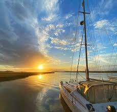 Image result for Seabrook Sea Anglers Association