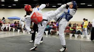 Image result for Ashford School Of Taekwondo