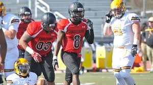 Image result for Drefach Cricket & Football Club