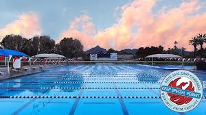 Image result for Derby Phoenix Swimming Club