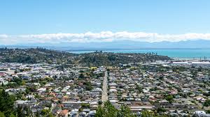 Image result for Nelson Cc