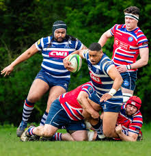 Image result for Bank Top Harriers Arlfc