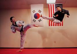 Image result for Ndm Martial Arts