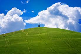 Image result for love windows xp wallpaper