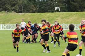 Image result for Hoyland Vikings Amateur Rugby League Football Club