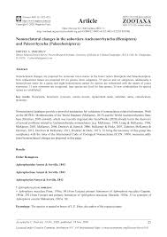 Attēlu rezultāti vaicājumam “Planaphrodes sp.”