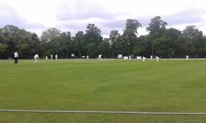 Image result for Timsbury Cricket Club