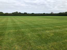 Image result for Salfords Cricket Club