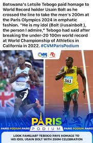 Image result for Tobogo