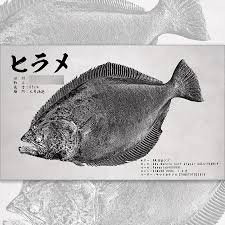 「魚拓」的圖片搜尋結果