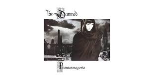 Attēlu rezultāti vaicājumam “Diderma montanum var. album”