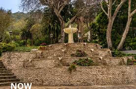 Image result for Farnham Youth Project