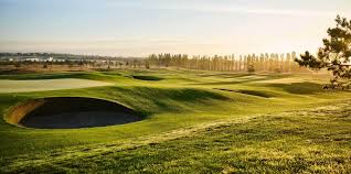 Image result for Central London Golf Club