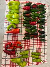 Afbeeldingsresultaat voor red fratali hot pepper