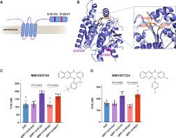 Attēlu rezultāti vaicājumam “undetermined plasmodium”