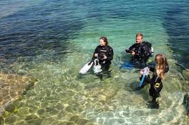 Image result for Wyndley NSC Snorkelling Club