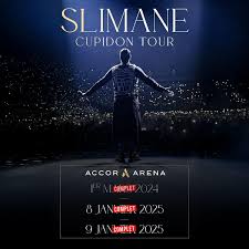 Image result for affiche concert