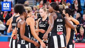 Image result for Ledbury Magpies Netball Club