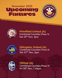 Image result for Virginia Water Fc