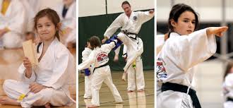 Image result for COURT FIELDS karate Academy