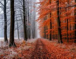 Image result for Приметы