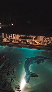 Image result for Dolphin Badminton Club