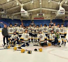 Image result for Northwich Predators