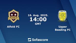 Image result for Upper Beeding Fc