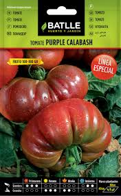 Afbeeldingsresultaat voor purple calabash tomato