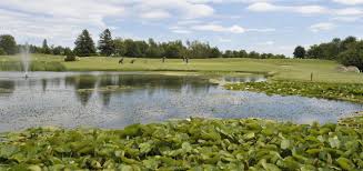 Image result for Witney Lakes Resort