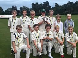 Image result for Whitchurch Cricket Club