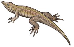 Attēlu rezultāti vaicājumam “Reticularia jurana young”