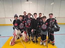 Image result for Vipers Roller Hockey Team